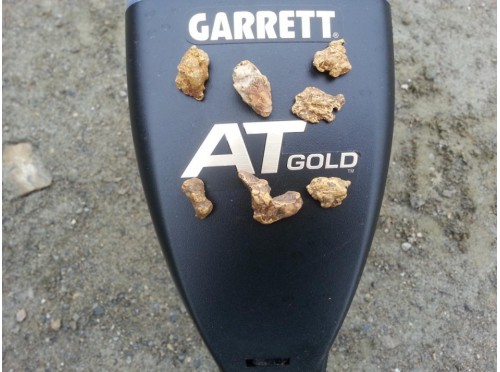 Металлоискатель Garrett AT Gold